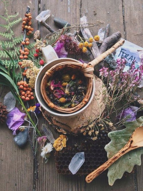 flowers in medicine and herbs 
