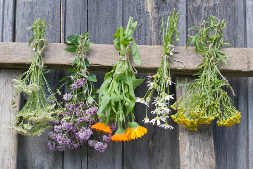 flowers preserving