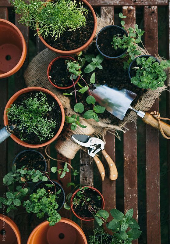 Gardening tools